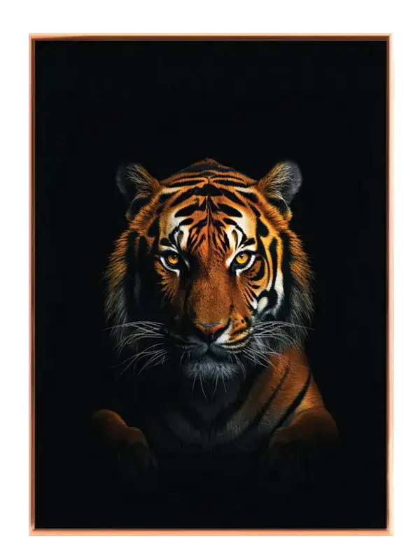 Tiger Dark Background Plakat