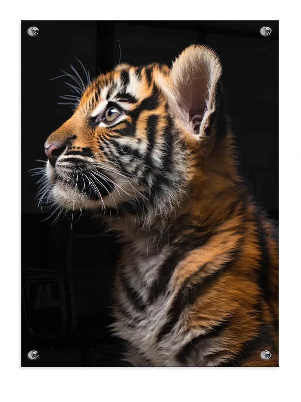 Tiger Cub Plakat