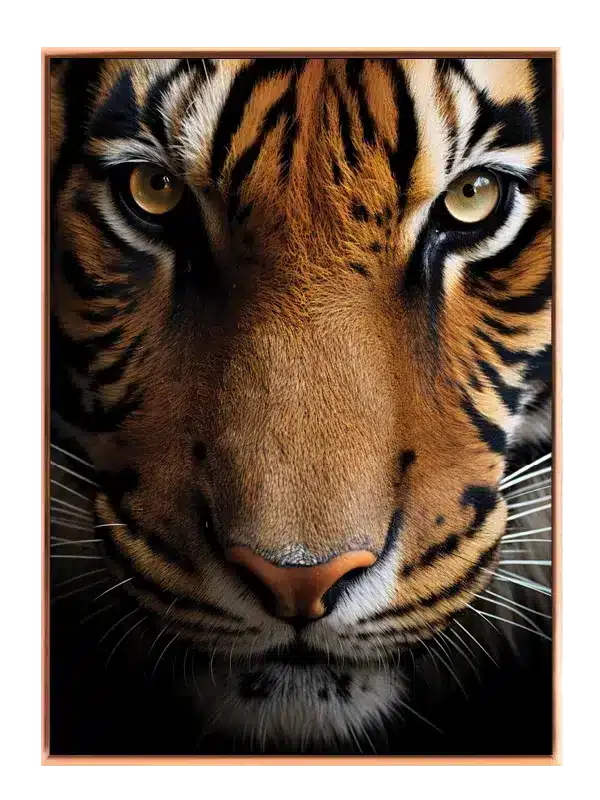 Tiger Closeup Plakat