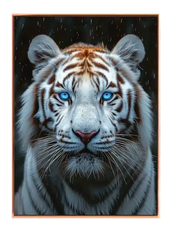 White Tiger Face Plakat