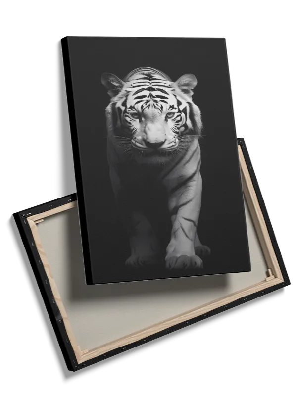 White Tiger Portrait Plakat