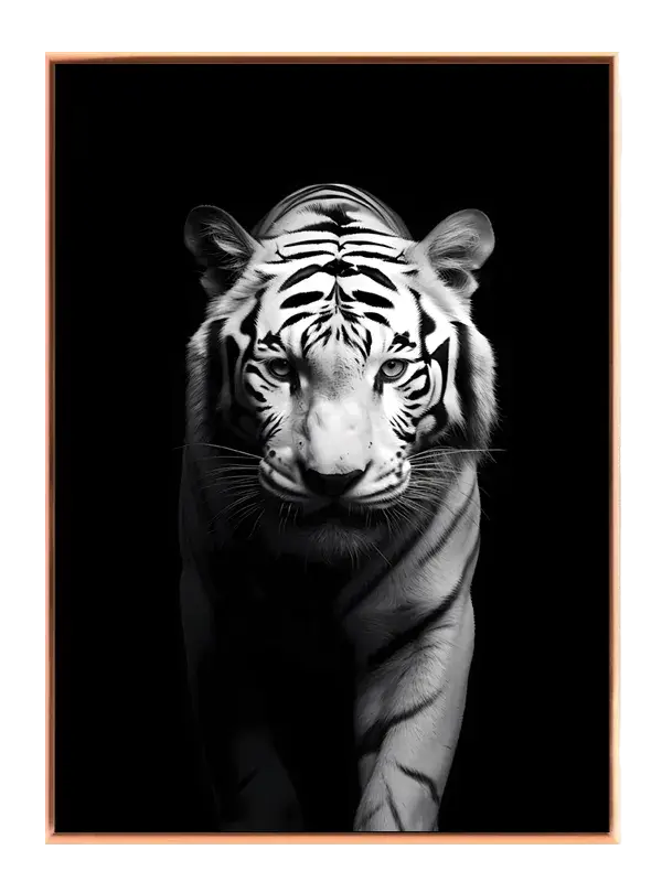 White Tiger Portrait Plakat