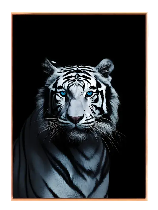 White Tiger Blue Eyes Plakat