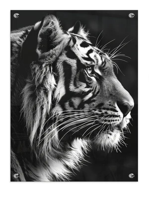 Tiger Side Plakat
