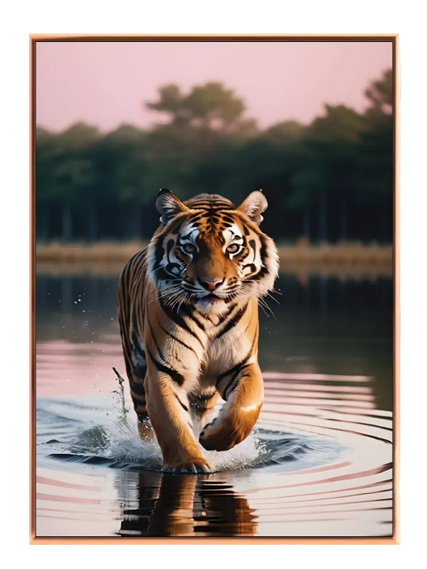Tiger In Water Plakat