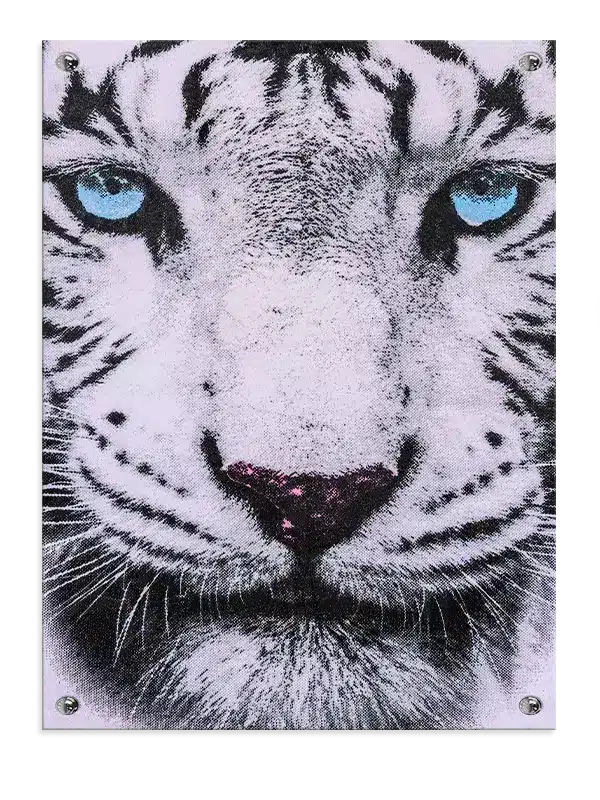 White Tiger No6 Plakat