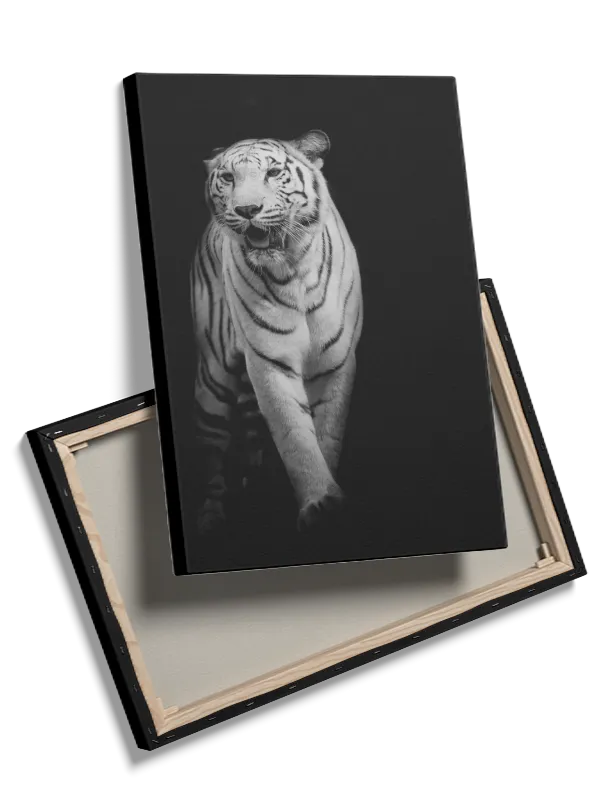 White Tiger Walk Plakat