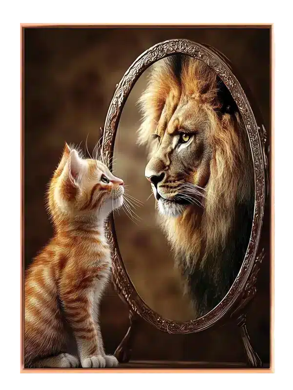 Cat And Plakat