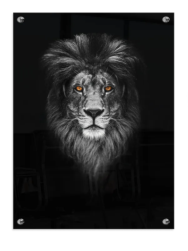 Lion Head Portrait Plakat
