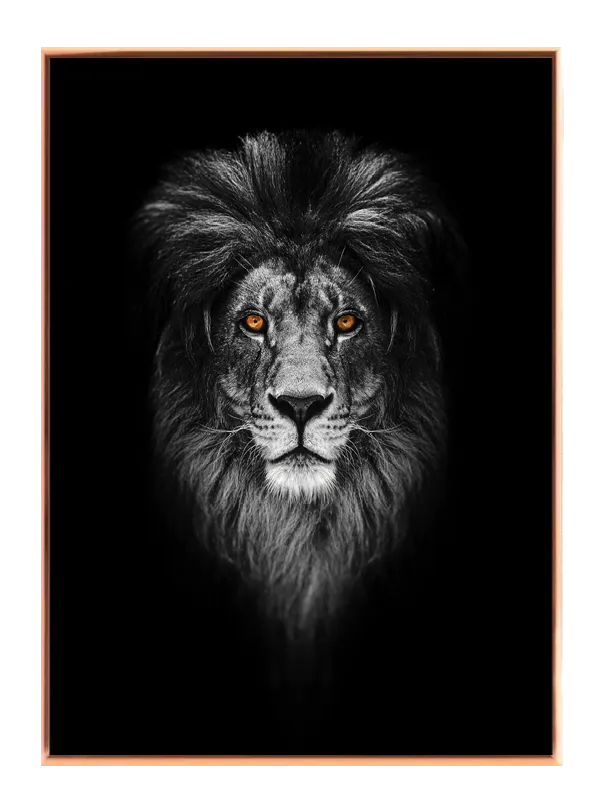 Lion Head Portrait Plakat