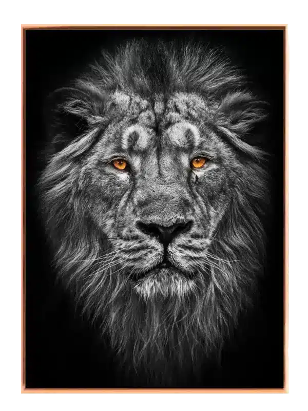 Lion Intense Stare Plakat