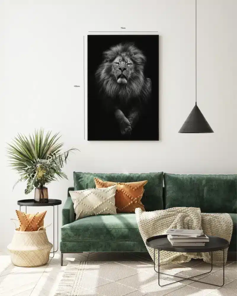 Lion Black Background Plakat