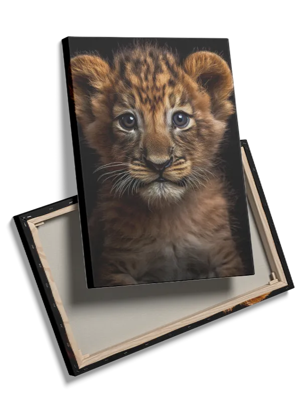 Lion Cub Close Up Plakat