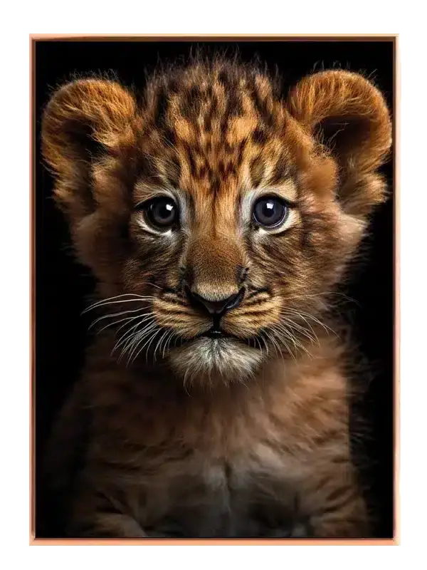 Lion Cub Close Up Plakat