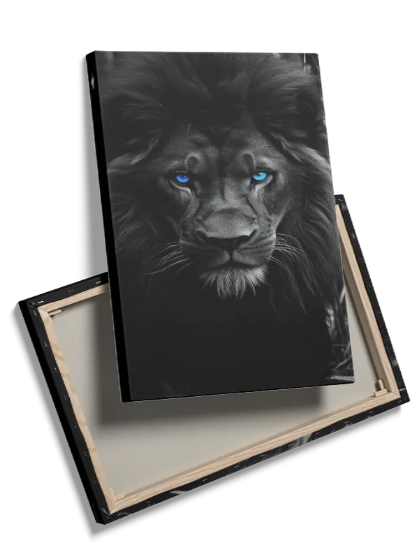 Black Lion Blue Eyes Plakat