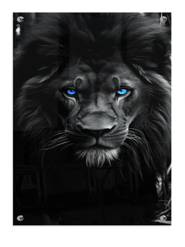 Black Lion Blue Eyes Plakat