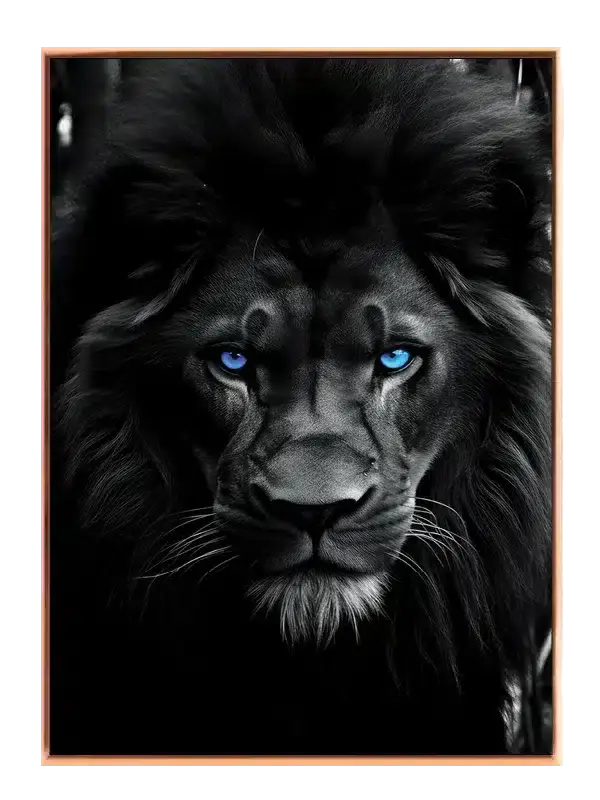 Black Lion Blue Eyes Plakat