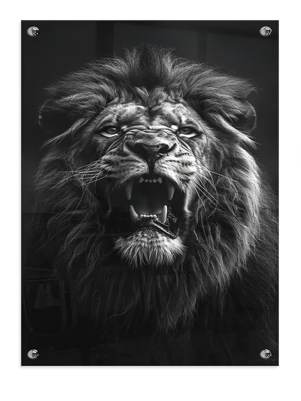 Roaring Lion Face Plakat