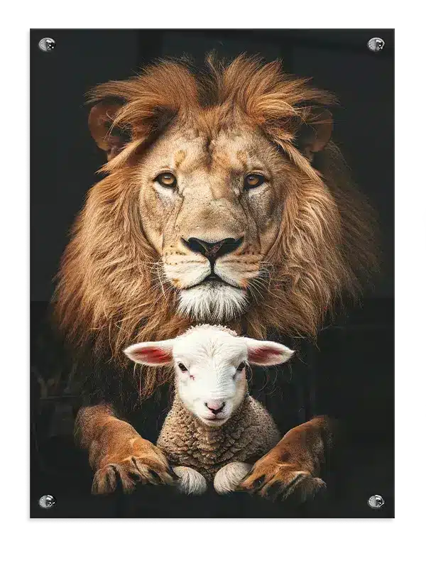 Lion With Plakat