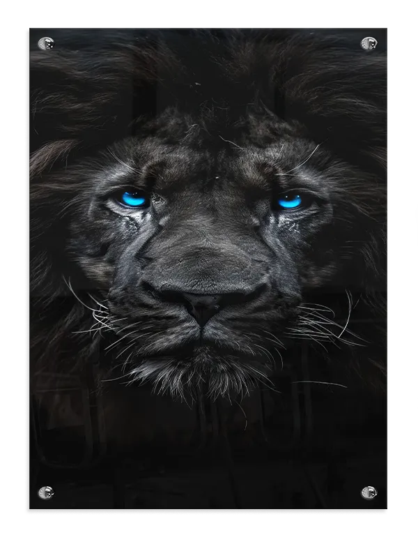 Black Lion No3 Plakat