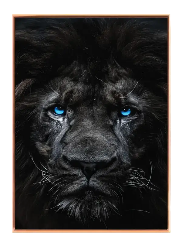 Black Lion No3 Plakat