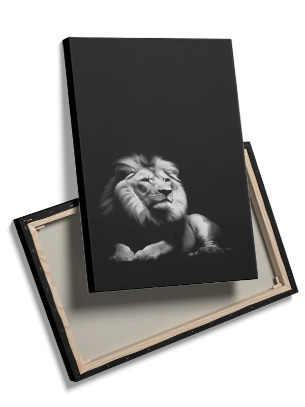 Lion Reclining Plakat