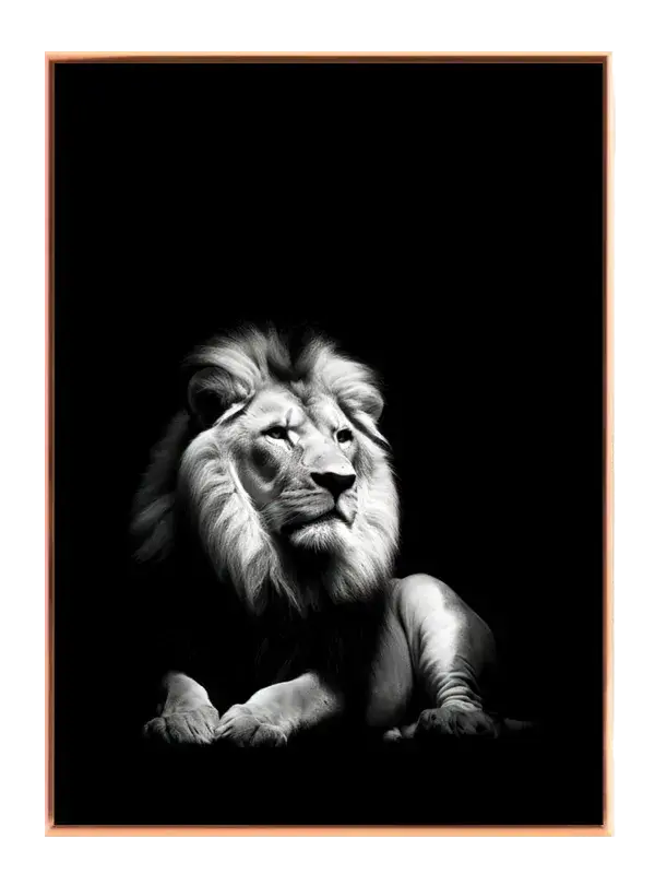 Lion Reclining Plakat
