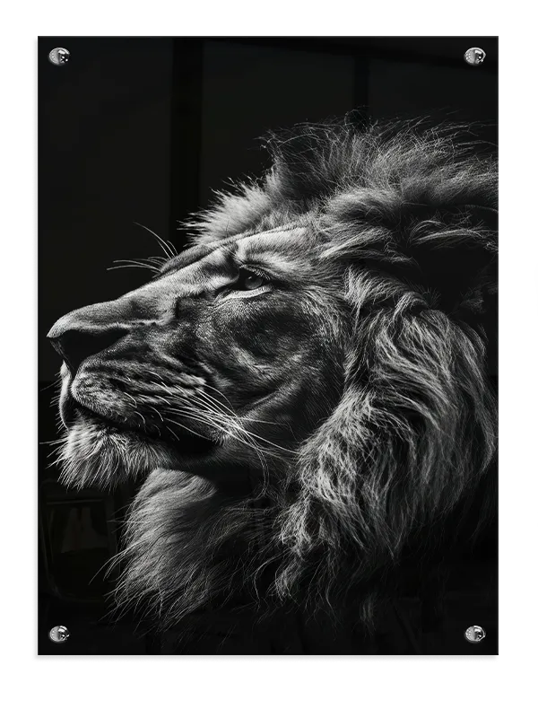 Lion Profile No3 Plakat