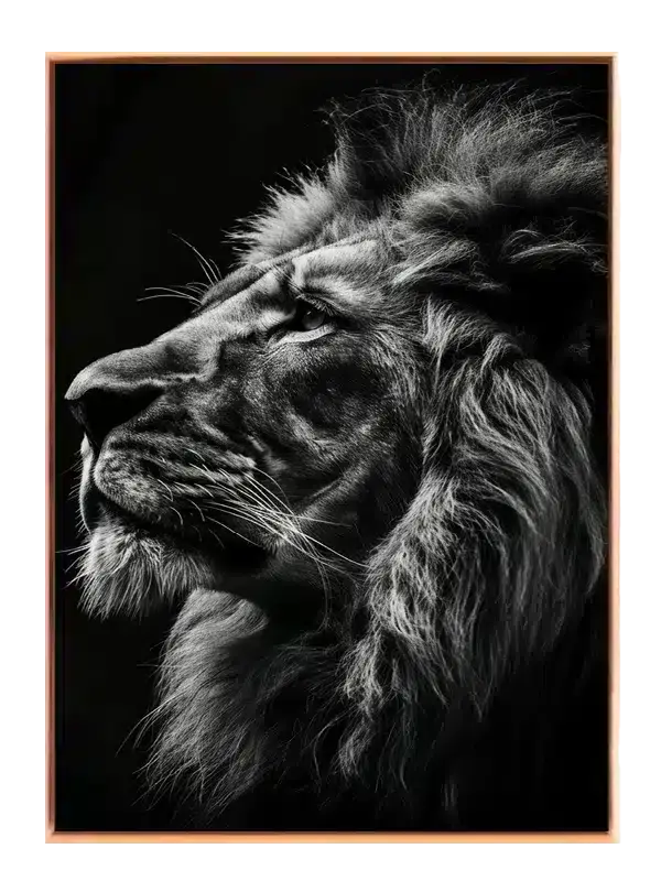 Lion Profile No3 Plakat