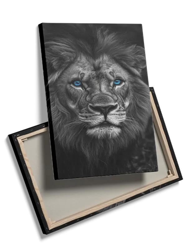 Lion Blue Plakat