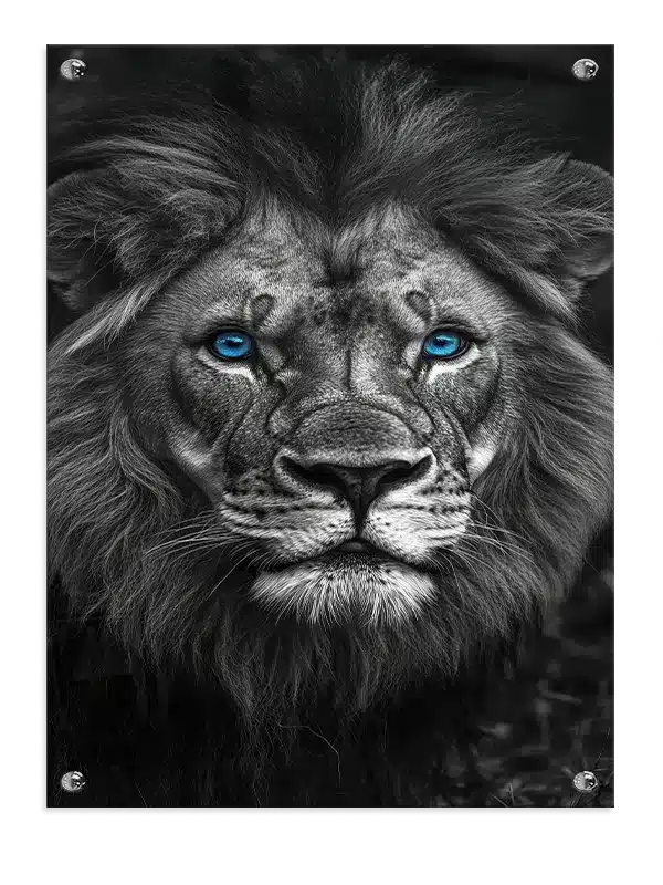 Lion Blue Plakat