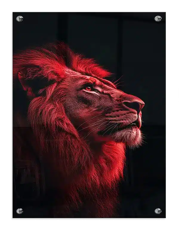 Lion Red Light Plakat