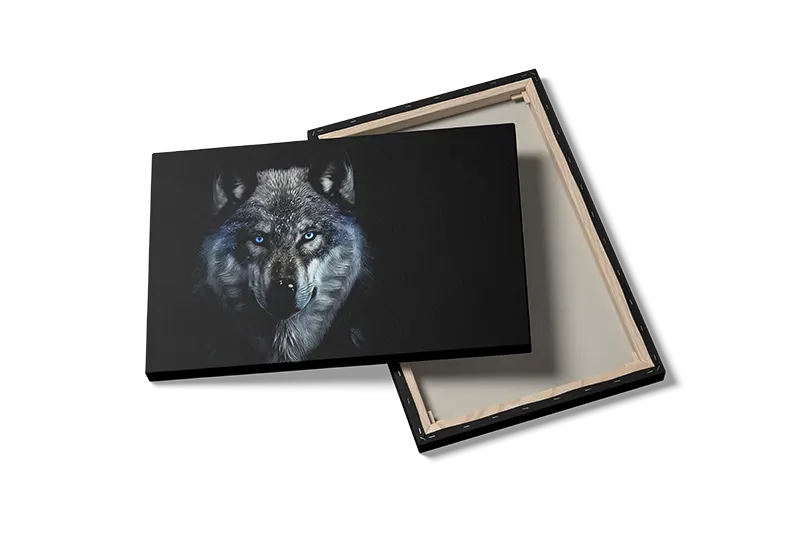 Gray Wolf Plakat