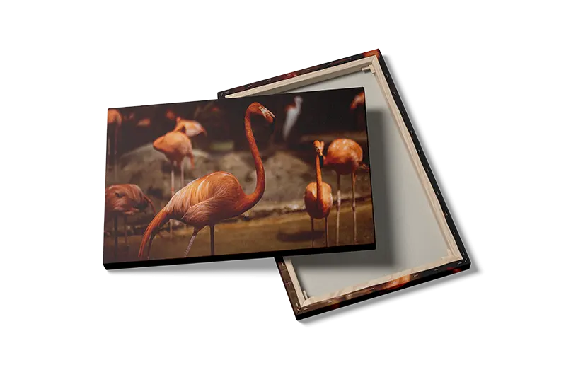 Flamingo No2 Plakat