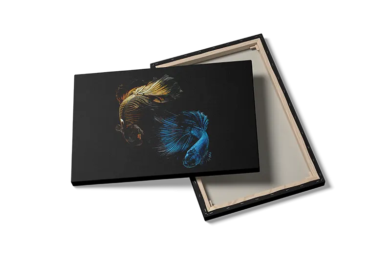 Betta Fish Duo Plakat