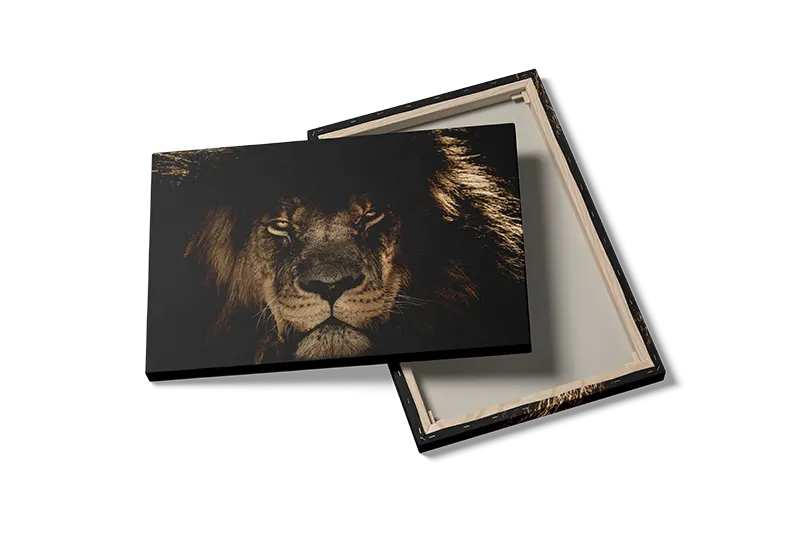 Lion Face III Plakat