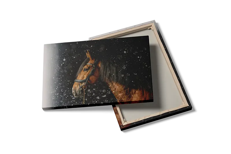 Brown Horse No2 Plakat