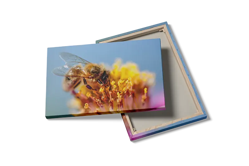 Honeybee On Flower Plakat