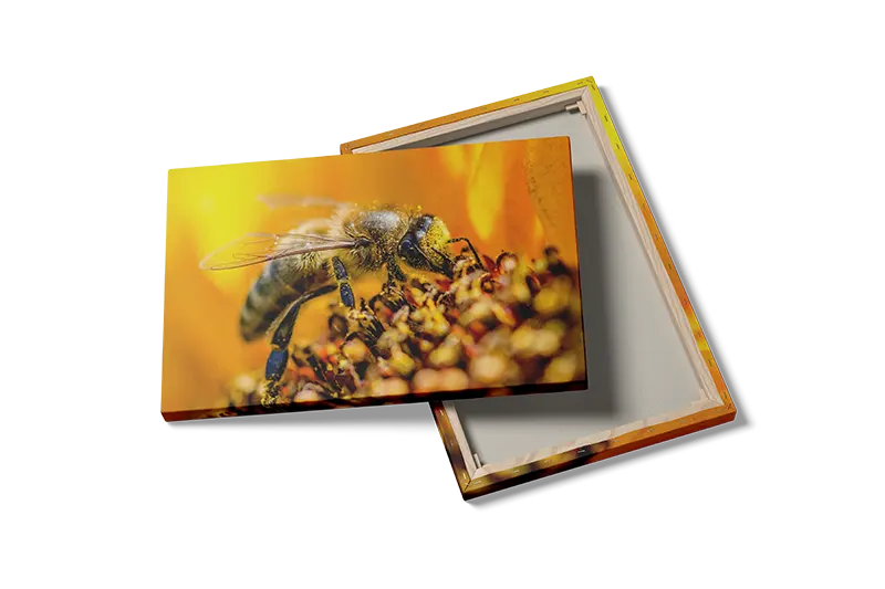 Honeybee no2 Plakat