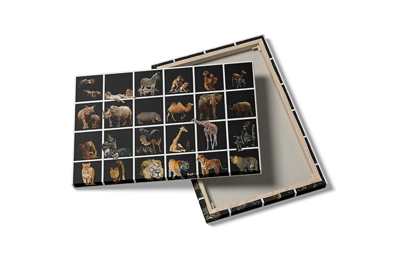 Løve African Collection Plakat