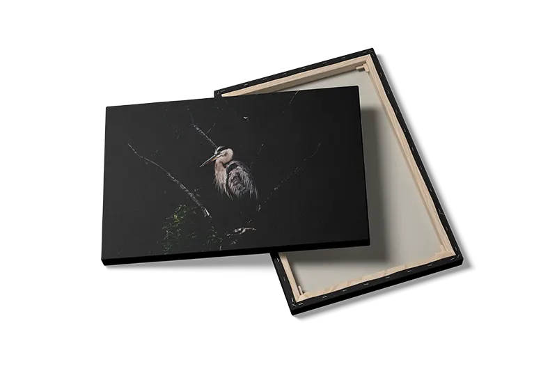 Fugl Heron Plakat