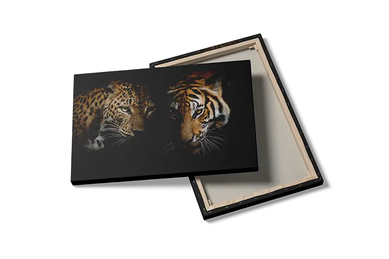 Leopard And Tiger Plakat
