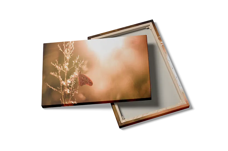 Butterfly Backlit Plakat