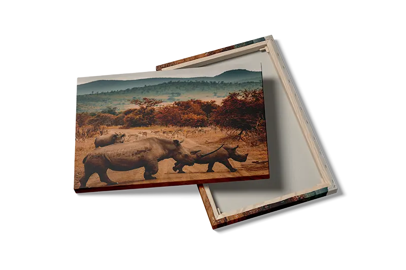 Rhino Crossing Plakat