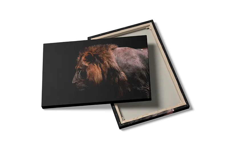 Lion Side Plakat