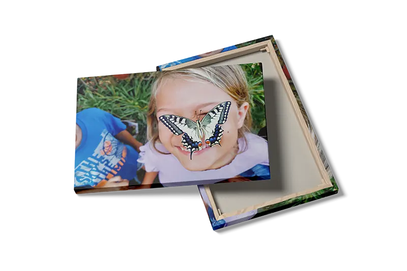 Swallowtail Butterfly Plakat