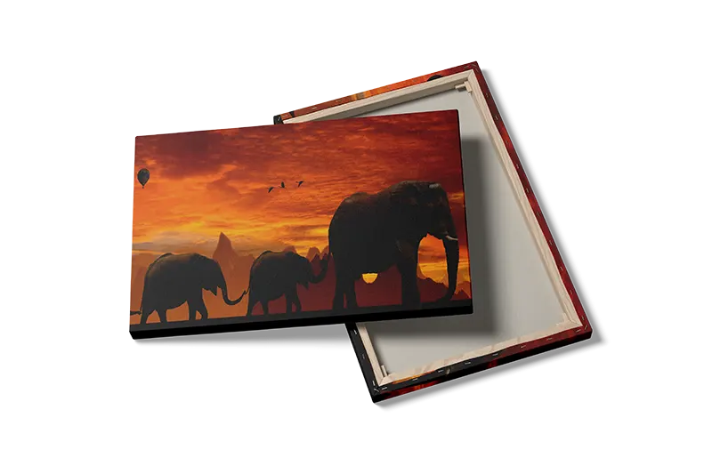 Elephant Sunset Plakat