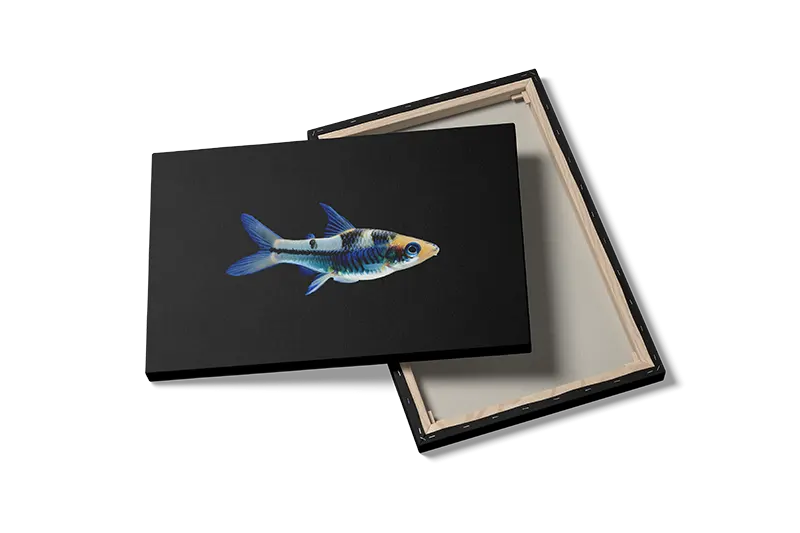 Glowlight Tetra Plakat