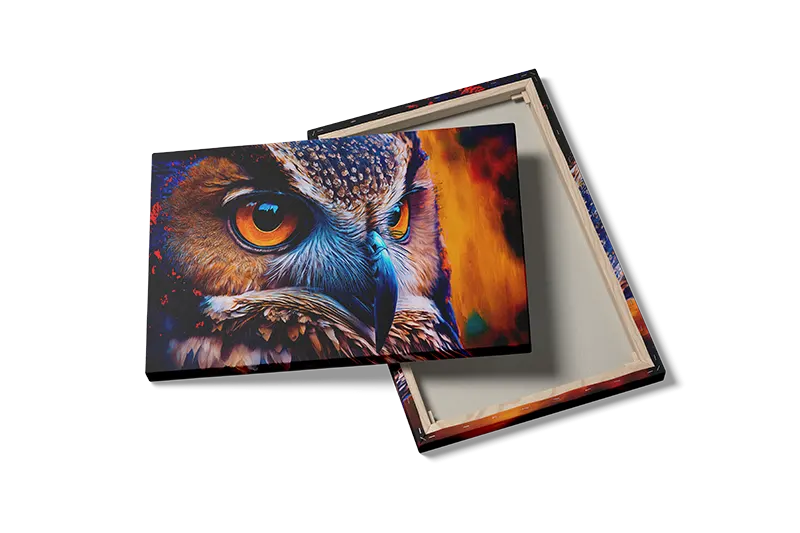 Eagle Owl Closeup Plakat