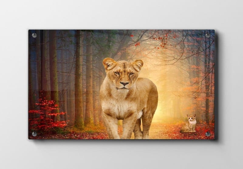 Lioness In Forest Plakat